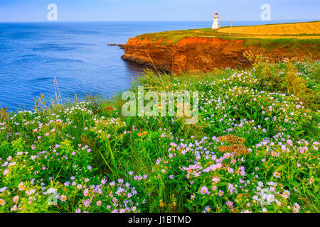 Prince Edward Island, Canada Foto Stock