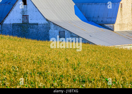 Fienile su Prince Edward Island, Canada Foto Stock