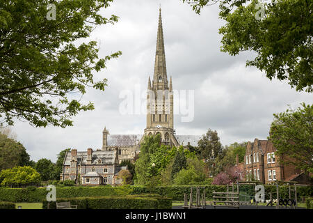 Norwich Cathedral, dedicata al santo e indivisa Trinità, e si trova a Norwich, Norfolk; è la chiesa cattedrale per la chiesa di Inghilterra diocesi di Norwich. Dove: Norwich, Norfolk, Regno Unito quando: 19 Mar 2017 Credit: Ward/WENN.com Foto Stock