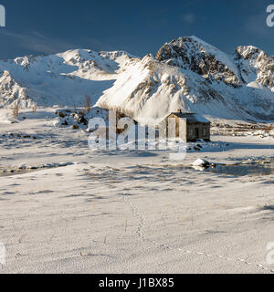 Azienda abbandonata house di neve sulla strada per Hennigsvaer su Vestvagoy, Isole Lofoten in Norvegia Foto Stock