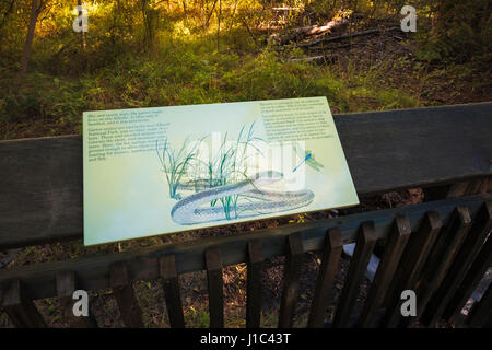 Dichiarazioni interpretative segno alla grotta e Basin National Historic Site, il Parco Nazionale di Banff, Alberta, Canada Foto Stock