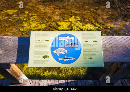 Dichiarazioni interpretative segno alla grotta e Basin National Historic Site, il Parco Nazionale di Banff, Alberta, Canada Foto Stock