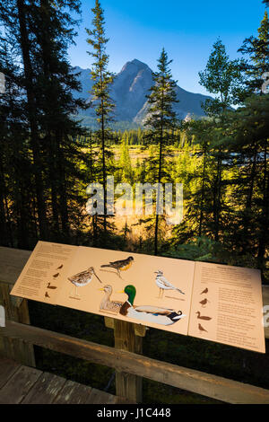 Dichiarazioni interpretative segno alla grotta e Basin National Historic Site, il Parco Nazionale di Banff, Alberta, Canada Foto Stock