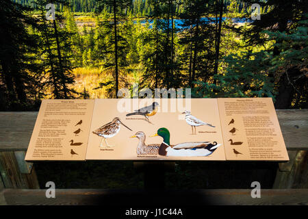 Dichiarazioni interpretative segno alla grotta e Basin National Historic Site, il Parco Nazionale di Banff, Alberta, Canada Foto Stock