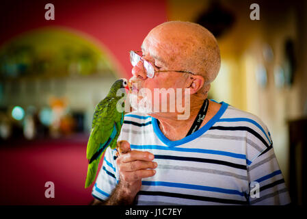 Un vecchio uomo e il suo verde Macaw in Havana Cuba Foto Stock