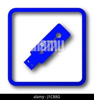 Unità flash USB icona. Unità flash USB pulsante sito web su sfondo bianco. Foto Stock