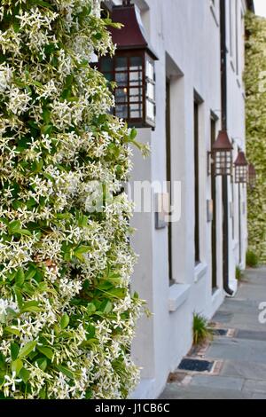 Casa coloniale esterno con piante verticale e vecchie lanterne viene visualizzato sul lato di casa Foto Stock