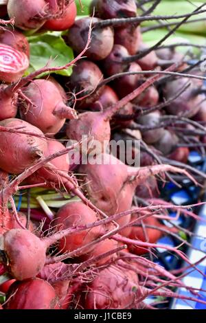 Ravanelli freschi al mercato degli agricoltori Foto Stock