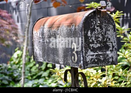 Vecchio arrugginito nella cassetta postale di incolto area abbandonata, Foto Stock