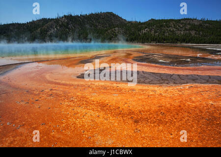 La formazione di depositi minerali, Grand Prismatic Spring, Midway Geyser Basin, il Parco Nazionale di Yellowstone, Wyoming USA Foto Stock