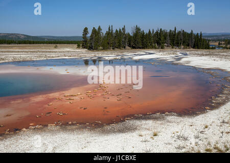 Pool di opale, Midway Geyser Basin, il Parco Nazionale di Yellowstone, Wyoming USA Foto Stock