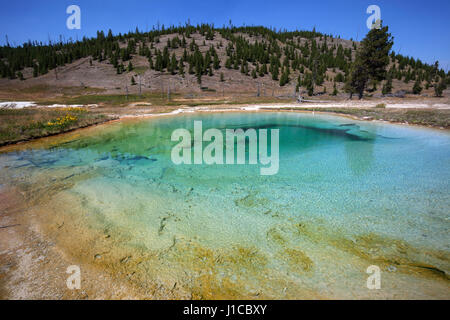 Primavera calda, Midway Geyser Basin, il Parco Nazionale di Yellowstone, Wyoming USA Foto Stock