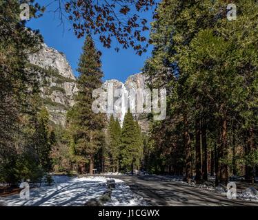 Superiore e inferiore di Yosemite Falls - Yosemite National Park, California, Stati Uniti d'America Foto Stock