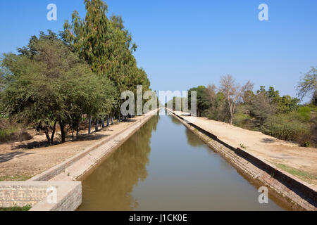 Un rettilineo di Rajasthan canal con eucalipto alberata sentieri sabbiosi in india sotto un cielo blu chiaro in primavera Foto Stock