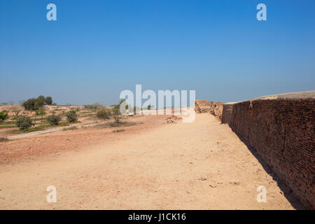 Lavori di restauro al sito storico di Fort bhatner hanumangarh Rajasthan in India con alberi di acacia e vegetazione sotto un cielo blu chiaro Foto Stock