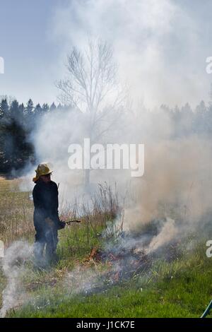 Una persona la masterizzazione di un campo in Minnesota. Foto Stock