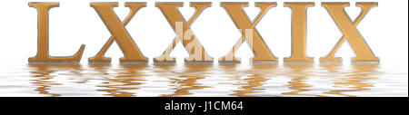 Numero romano LXXXIX, novem et octoginta, 89, ottanta nove, riflessa sulla superficie dell'acqua, isolato su bianco, 3D render Foto Stock