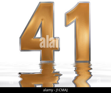 Il numero di riferimento 41, Forty One, riflessa sulla superficie dell'acqua, isolato su bianco, 3D render Foto Stock