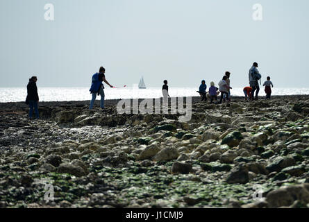 Per coloro che godono di un giorno su una spiaggia rocciosa del Sussex, Regno Unito Foto Stock