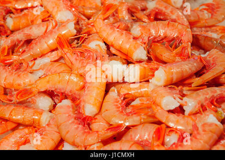 Gamberetti in vendita nel mercato, a Venezia, Veneto, Italia Foto Stock