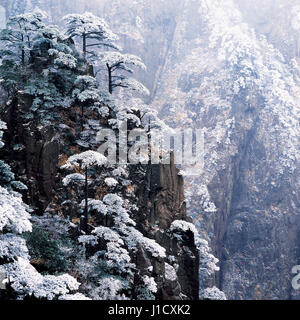 Monte Huangshan neve nella provincia di Anhui,Cina Foto Stock