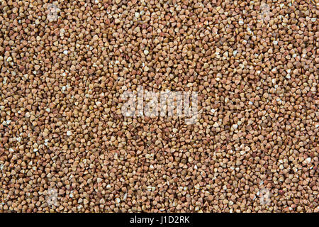 Pila di semi di grano saraceno - texture, materie del grano saraceno Foto Stock