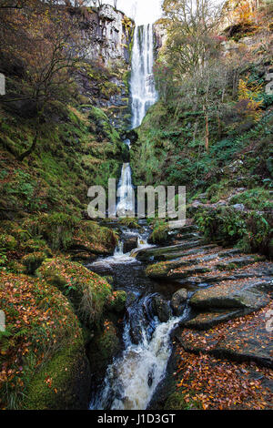 Pistyll Rhaeadr cascata vicino Llanrhaeadr-ym-Mochnant Powys North Wales UK Novembre 52943 Foto Stock