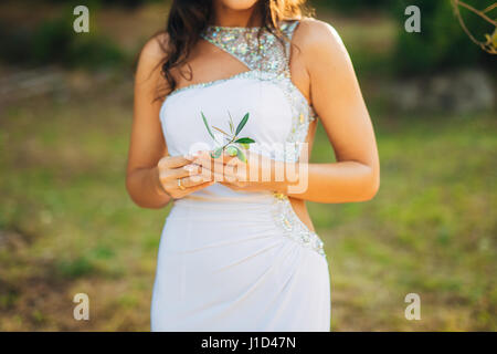 Olive Branch in gara mani femminili Foto Stock