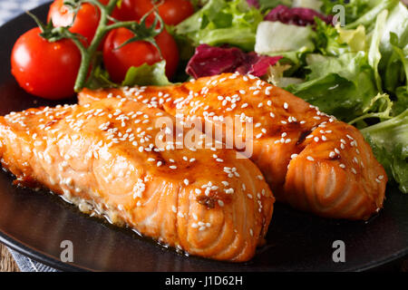 Vetrata di filetto di salmone con sesamo close-up su una piastra orizzontale. Foto Stock