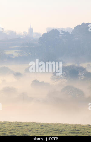 Nebbia nella valle Poldice in Cornovaglia Foto Stock