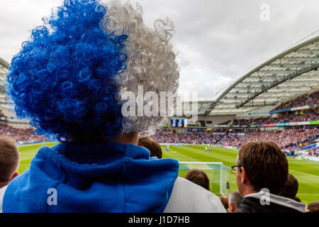 Brighton e Hove Albion sostenitori guardare il loro gioco di squadra di casa alla Amex Stadium, Brighton, Sussex, Regno Unito Foto Stock