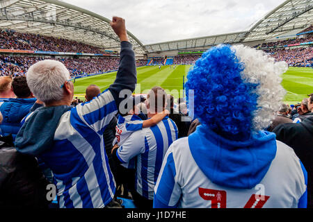 Brighton e Hove Albion sostenitori guardare il loro gioco di squadra di casa alla Amex Stadium, Brighton, Sussex, Regno Unito Foto Stock