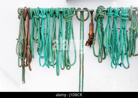 Il Bord traghetto attraverso il fiordo Breidafjoerdur, da Stykkisholmur per Flokalundur, attrezzatura della nave, Islanda, Nord Europa Foto Stock