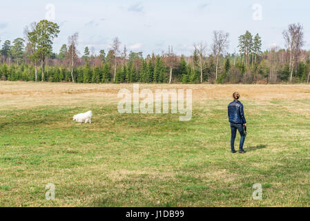Gestore femmina ricerca training con la sua scatenata Samoiedo cane in un campo nella foresta. Foto Stock