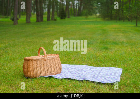 Cesto per pic-nic con blu bianco tovagliolo a scacchi sull'erba. Estate parco prato in background Foto Stock