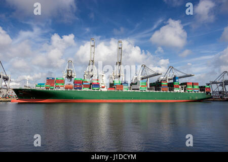 ROTTERDAM, PAESI BASSI - Mar 16, 2016: Contenitore nave ormeggiata presso l'ECT terminale per container nel porto di Rotterdam. Foto Stock