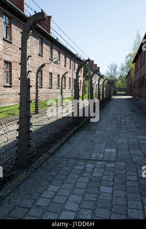 Vista tra i blocchi di celle al campo di concentramento di Auschwitz Foto Stock