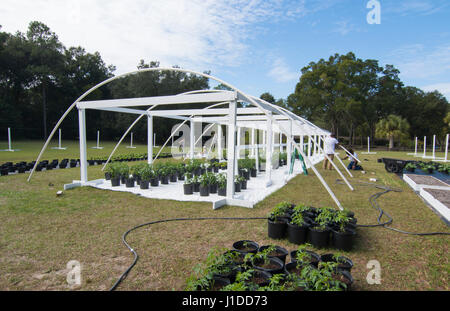 Central Florida organico giardino di casa costruzione edificio gli uomini nel cortile per una sana dieta e mangiare agriturismo coop Foto Stock