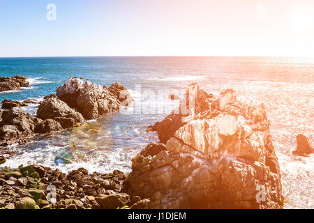 Ocean rocce con pellicani marroni a Vina del Mar, Cile Foto Stock
