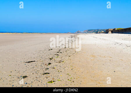 Lungo la linea di alghe marine, ciottoli e conchiglie si snoda lungo una spiaggia deserta. Foto Stock