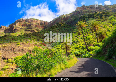 Valley mountains palme nuvole bianche il cielo blu, il vicino villaggio Alojera, La Gomera, isole Canarie Foto Stock