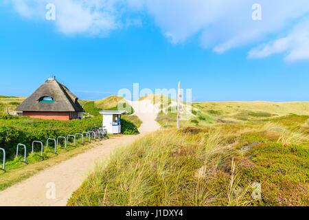 Percorso a Kampen spiaggia tra dune di sabbia sulla isola di Sylt, Germania Foto Stock