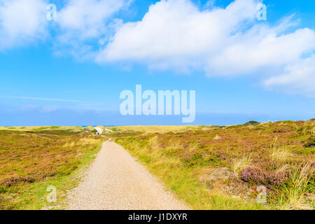 Percorso a Kampen spiaggia tra dune di sabbia sulla isola di Sylt, Germania Foto Stock