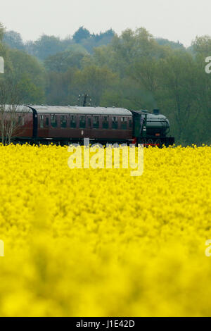 Peterborough, Regno Unito. Xx Apr, 2017. Regno Unito Meteo. Un Nene Valley Railway treno a vapore si fa strada lungo la via dietro un giallo campo di colza vicino a Peterborough, CAMBRIDGESHIRE. Credito: Paolo Marriott/Alamy Live News Foto Stock