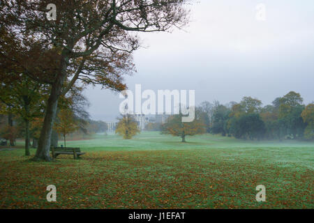 Parco Singleton mist Foto Stock