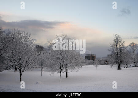 Parco Singleton inverno Foto Stock