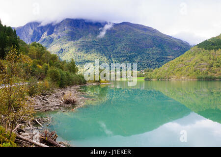 Vista dalla strada 55, Norvegia Foto Stock