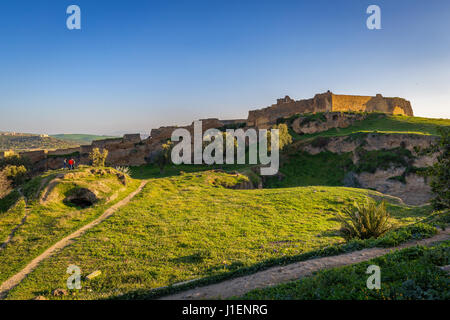 Panoramica della città vecchia di Fez, Marocco Foto Stock