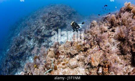 Closed Circuit Rebreather Diver su una profonda parete Foto Stock