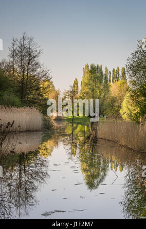 Alberi e canneti si riflette sull'acqua ancora in un assolato pomeriggio di primavera a Liedermeerspark, Merelbeke Foto Stock